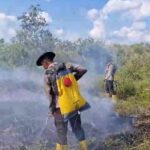 Dibantu Water Bombing, Tim Gabungan Penanggulangan Karhutla Berjibaku Padamkan Api di Indralaya Utara. IMG-20240806-WA0018
