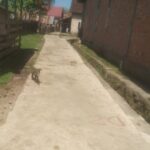 IMG-20250719-WA0018