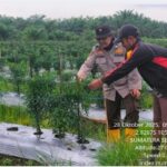 Bhabinkamtibmas Polsek Air Kumbang Dorong Masyarakat Dukung Program Swasembada Pangan Presiden IMG-20251029-WA0009