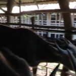 IMG-20260531-WA0007