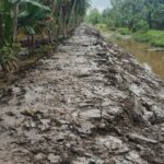 Penggalian Parit Anggaran Dana Desa Tahun 2026 di Desa Tanjung Baru Panjang 1,5 Kilometer