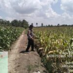 IMG-20260802-WA0002