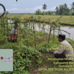 Dukung Ketahanan Pangan Nasional, Bhabinkamtibmas Polsek Muara Telang Aipda Ade Yasri, Ajak Warga Desa Telang Jaya Kec. Muara Telang Kembangkan Pekarangan Produktif IMG-20261027-WA0011