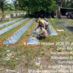 Dukung Ketahanan Pangan Nasional, Bhabinkamtibmas Polsek Rambutan Brigpol Rendy Permana, Ajak Warga Desa Durian Gadis Kec. Rambutan Kembangkan Pekarangan Produktif